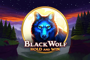 Black Wolf