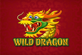 Wild Dragon