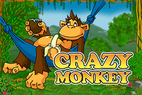 Crazy Monkey