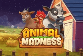 Animal Madness