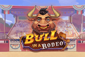 Bull in a Rodeo