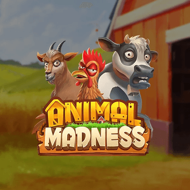 Animal Madness