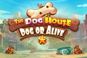 The Dog House Dog or Alive